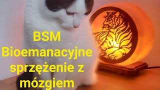 BSM 💛 pozycja 4.   organy wewnętrzne z jednej strony organizmu   odc. 400