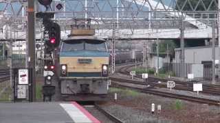 JR貨物　EF66 24牽引5073レ　＠京都　2013/07/26