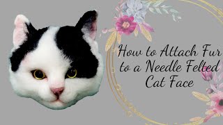 How to attach fur to a needle felted cat face/Needle felted cat/Needle felting tutorial