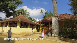 Day trip from Kandy - Heeloya Village Spice Farm and Waterfalls