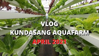 VLOG KUNDASANG AQUAFARM, KG. MESILAU KUNDASANG