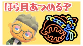 【参加OK】【スプラトゥーン3】コラボでほら貝集めナワバリで頑張るぞ😊