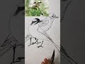 牡丹花鸟画法 brushwork painting chinese flowerpainting 中国画 art peonypainting birds chineseart