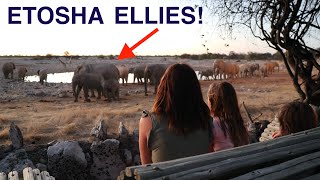 4 in a 4x4 Ep58 - ETOSHA OVERLAND