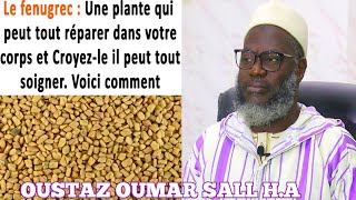 OUSTAZ OUMAR SALL HA :LES BIENFAITS DE FENUGREC