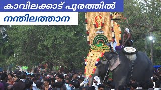 നന്തിലത്താന കാവിലക്കാട് പൂരത്തിൽ #venjamaram #kavilakkad #pooram2025