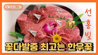 [오늘의 집 \u0026밥] 23년 설날에는 한우 꽃 강추!