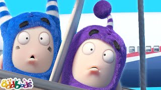 Wear Seatbelts on the Airplane!  ✈️Travel Holiday ✈️ Oddbods Full Episode | Funny Cartoons for Kids