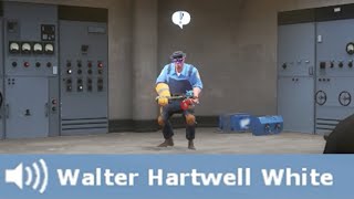 Walter Hartwell White (real)