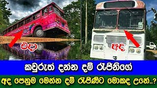 කවුරුත් දන්න දම් රැජිනිගේ එදා පෙනුම හා අද පෙනුම - New story Of Dam Rejina Bus Sri Lanka කවුරුත් දන්න දම් රැජිනිගේ එදා පෙනුම හා අද පෙනුම - New story Of Dam Rejina Bus Sri Lanka