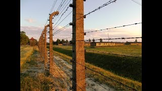 72nd Anniversary of the  Liberation of the Nazi camp in Auschwitz- Birkenau - Part II (C)