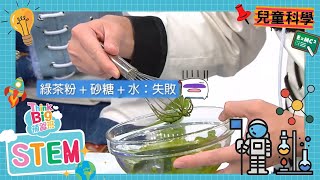 用電動打蛋器做出完美奶泡｜Stem Sir 教你玩科學 ｜Think Big 天地｜兒童學習｜兒童科學 | 生活小知識｜STEM