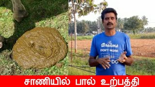 சாணியில் பால் உற்பத்தி || #radhakrishnanfarms