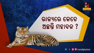 ପ୍ରଥମଥର ପାଇଁ ଭୁବନେଶ୍ବରରେ ହେବ ବାଘ ଗଣନା ପ୍ରଶିକ୍ଷଣ କାର୍ଯ୍ୟକ୍ରମ । NandighoshaTV