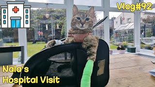 Nala's hospital visit 😿 Vlog #92