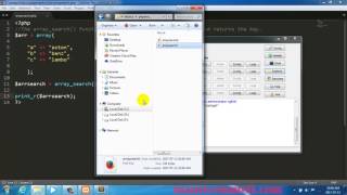 PHP array search Function