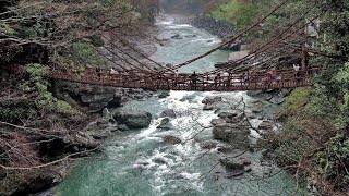 日本德島縣三好市劍山國定公園祖谷溪藤蔓橋落合集古村及鄉土民宿 (粵語現場解述) 2015 Vine Bridges and The Peeing Boy of Iya Gorge