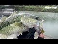 해창만 수로권 가을배스 bass fishing バス釣り 머거배스