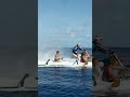 surfing with a motorbike