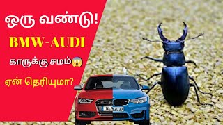 உலகின் விலையுயர்ந்த வண்டு! இதன் மதிப்பு ஒரு BMW காருக்கு சமம் 😱