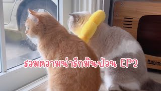 รวมความน่ารักมึนป่วน EP2