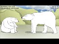 teen polar bear cam