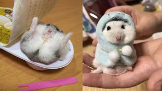 超萌小倉鼠合集🐹世界奇奇怪怪，倉鼠可可愛愛💕被療癒了🥰｜Funny and Cute Hamster Compilation🐹