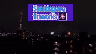 Sumida gawa fireworks 2024