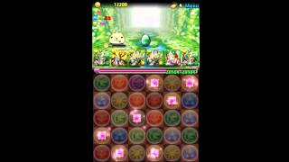 パズドラ「カピバラさん コラボ ミドリノ草原 極」覚醒アテナ 9倍PT ノーコン攻略