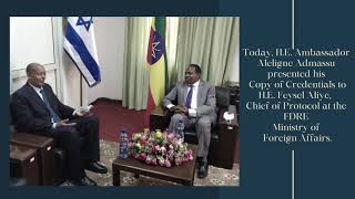 አምባሳደር አለልኝ አድማሱ የሹመት ደብዳቤያቸውን ቅጂ አቀረቡ