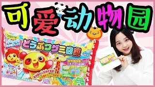 kracie animal jelly making for children | Xiaoling toys Kids Chinese