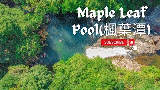 大城石澗 EXPLORING TAI SHING STREAM AT MAPLE LEAF POOL 楓葉潭 | PART 4 #hknature #hkviews #stream #hiking