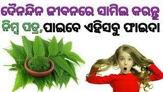 ଦୈନନ୍ଦିନ ଜୀବନରେ ସାମିଲ କରନ୍ତୁ ନିମ୍ବ ପତ୍ର, ପାଇବେ ଏହିସବୁ ଫାଇଦା || ନିମ୍ବ ପତ୍ର || benefits of neem leaves