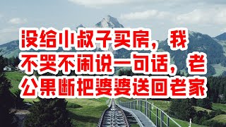 没给小叔子买房，我不哭不闹说一句话，老公果断把婆婆送回老家 - 情感故事 2023