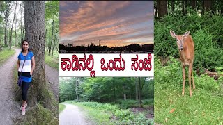 Simple weekend vlog| ಕಾಡಿಗೆ ಹೋಗೋಣ ಬನ್ನಿ |ಹಚ್ಚ ಹಸಿರು ಮರಗಳ ನಡುವೆ ಸಂಜೆಯ ವಾಕ್| Kannada vlog from America