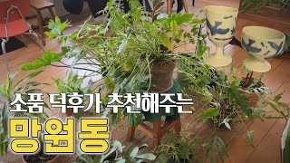 아늑한 망원동 둘러보기 🎁소품샵, 카페, 아뜰리에르플리, 디스커버굿굿즈, 떠블유떠블유