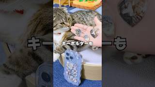 りっちゃんたちのアクキーでシャカシャカスマホケース作った結果…🤣 #猫 #PR