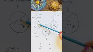 Wilhelm Reich and Orgone Energy