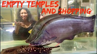 TEMPLES ARE EMPTY AND FISH TANKS ARE FULL