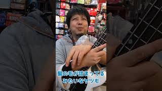 【楽器リペア】楽器店で１番多いリペア依頼って何？どうしてそうなるの？【エレキギター】 #Shorts