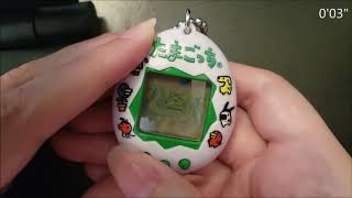 Tamagotchi: P2 \