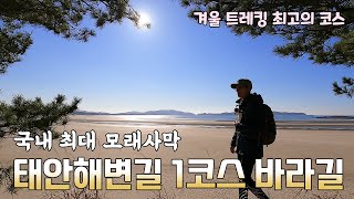 태안해안국립공원 | 태안 해변길 100km | 학암포 신두리사구 10km 트레킹 | 우리나라 최고의 모래사막 | 겨울에 걷기 좋아요