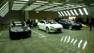 Tesla puts brake on Shanghai land buy as U.S.-China tensions weigh, sources say