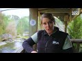 Bird keeper Tanya introduces our Takahē pair