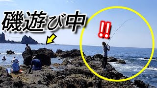 【真鶴半島釣り】磯遊びしている横でまさかの高級魚‼