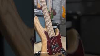 Sadowsky Basses Metroline 22 fret Will Lee Artist