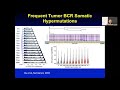 2019 stat115 lect21.4 tumor immune repertoires