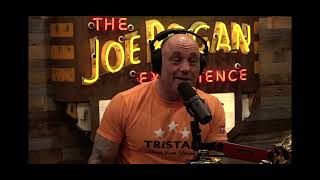 Joe Rogan and Russel Brand: Capitalist Realism
