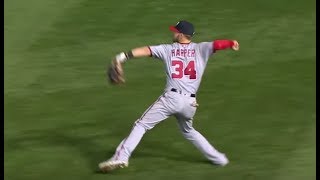 MLB Amazing Throws 2017