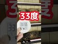 クーラー嫌いな猫にクーラー入れてみた　 やってみた 猫のいる暮らし cats